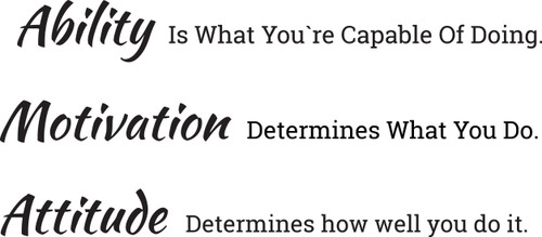 Wallstickers4you Wall Decal Quote Determine Motivation Attitude Vinyl Decor Black 28.5 in x 12 in gz435
