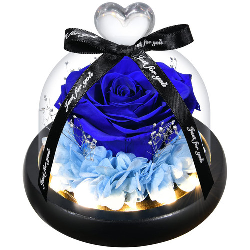 DEARCCINO Preserved Rose Gifts for Women|Preserved Flower in Glass Dome for Mom|Birthday Gift for Her|Girlfriend|Light Up Blue Rose for Christmas|Mother's Day,Anniversary (Blue) DEARCCINO Preserved Rose Gifts for Women|Preserved Flower in Glass Dome for Mom|Birthday Gift for Her|Girlfriend|Light Up Blue Rose for Christmas|Mother's Day,Anniversary (Blue)