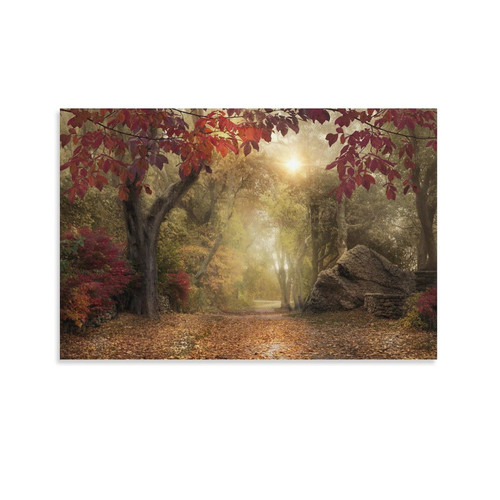 MLXFCGA Rural Landscape Poster with Forest Trail Covered in Fallen Leaves Wall Art Paintings Canvas Wall Decor Home Decor Living Room Decor Aesthetic 20x30inch(50x75cm) Unframe-Style MLXFCGA Rural Landscape Poster with Forest Trail Covered in Fallen Leaves Wall Art Paintings Canvas Wall Decor Home Decor Living Room Decor Aesthetic 20x30inch(50x75cm) Unframe-Style