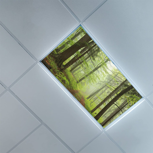 Fluorescent Light Covers for Ceiling Light Diffuser Panels-Outdoor Pattern-Light Filters Ceiling LED Ceiling Light Covers-2ft x 4ft Drop Ceiling Fluorescent Decorative,Pale Green Pale Yellow