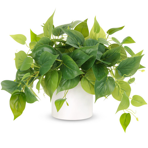 JPSOR Faux Plants Indoor, Pothos Small Fake Plants for Home Decor Indoor Fake Potted Plant Artificial Plants for Living Room Shelf Home Office Decor?White Ceramic Pot? JPSOR Faux Plants Indoor, Pothos Small Fake Plants for Home Decor Indoor Fake Potted Plant Artificial Plants for Living Room Shelf Home Office Decor?White Ceramic Pot?