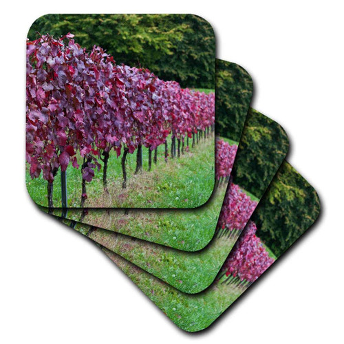 3D Rose Germany-Badische Weinstrasse-Baden Vineyards-Neuweier-Fall Soft Coasters, set-of-4-Soft, Multicolor