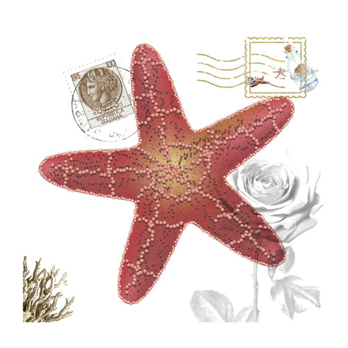 Ocean Beach Nautical Theme Underwater Starfish Family Wall Decoration Wall Decals Summer Sea Animals Plants Peel and Stick Home Decals for Backdrops Bumper Bike Outdoors Vinyl 18in
