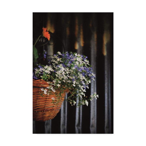 Trademark Fine Art Blue and White Flowered Waterfall by Christine Sainte-Laudy, 12x19