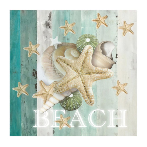 Sea Snail Starfish Nautical Beach Ocean Theme Wall Art Stickers Quotes Watercolor Marine' Life Outdoors Wall Decals Vinyl Wall Art Murals Quotes for Floor Window Party School Home Decor 18in