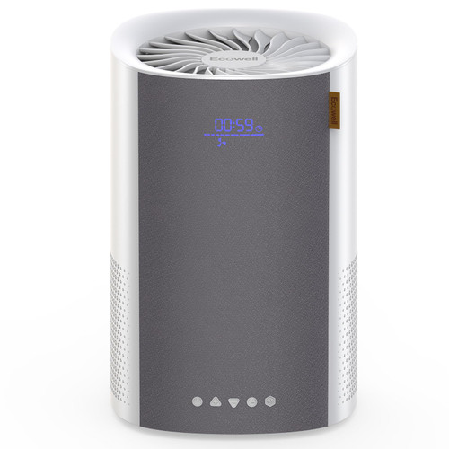 ECOWELL Air Purifiers for Bedroom, H13 HEPA Air Purifiers for Home Office Living Room, Air Filter Air Cleaner for Pet Dander Odors Smoke Pollen Dust, Small Air Purifier with 28dB Sleep Mode, EAP050 ECOWELL Air Purifiers for Bedroom, H13 HEPA Air Purifiers for Home Office Living Room, Air Filter Air Cleaner for Pet Dander Odors Smoke Pollen Dust, Small Air Purifier with 28dB Sleep Mode, EAP050