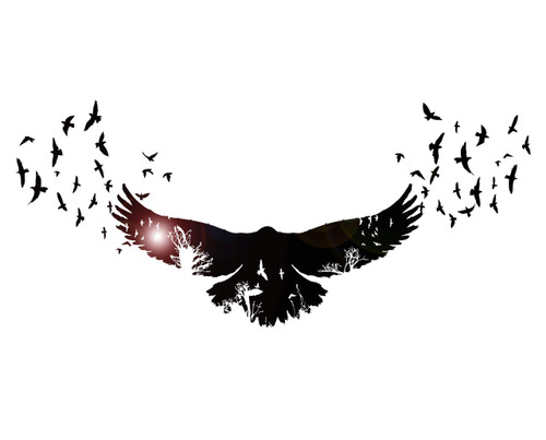 DesignToRefine Vinyl Wall Decal Raven Birds Gothic Style Trees Animals Nature Stickers Large Decor (1336ig) Black S 10.3 in X 22.5 in DesignToRefine Vinyl Wall Decal Raven Birds Gothic Style Trees Animals Nature Stickers Large Decor (1336ig) Black S 10.3 in X 22.5 in