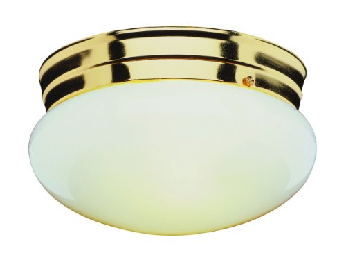 Trans Globe Lighting 3618 PB 1-Light Flush-Mount, Polished Brass