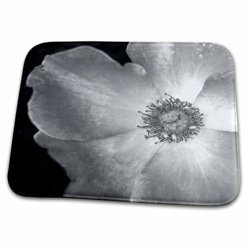 3dRose Black and white macro photograph of a Playboy Rose. - Dish Drying Mats (ddm-312227-1)