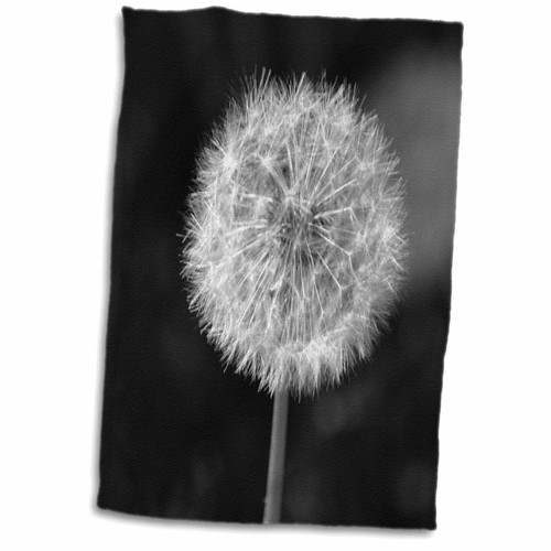 3D Rose Black and White Dandelion Flower TWL_192845_1 Towel, 15" x 22", Multicolor