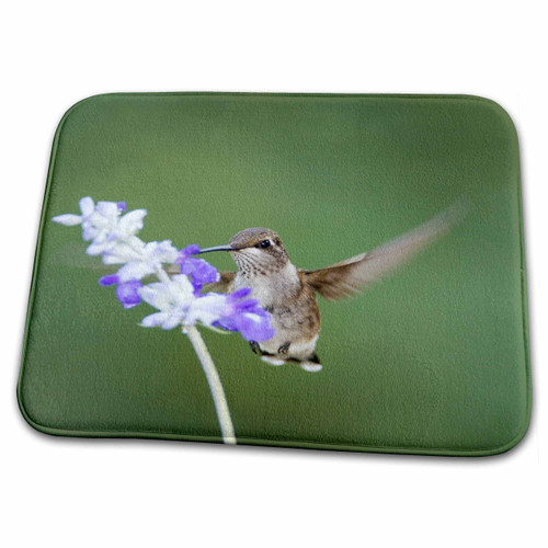 3dRose Black-chinned Hummingbird feeding - Dish Drying Mats (ddm-251440-1)