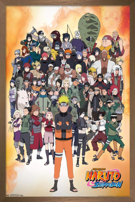 Trends International Naruto Shippuden - Group Wall Poster, 22.375" x 34", Bronze Framed Version
