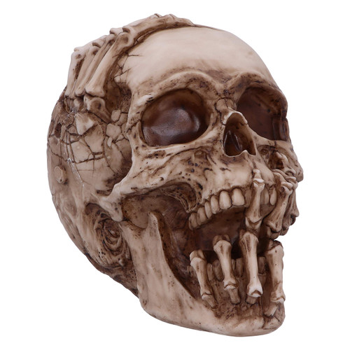 Nemesis Now Officially Licensed James Ryman Breaking Out Skull Skeleton Ornament, 20cm, Natural