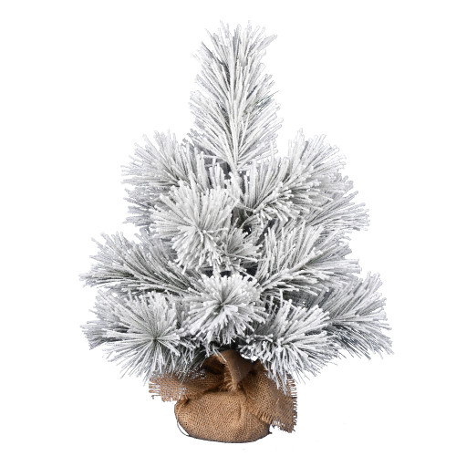 Vickerman 24" Frosted Beckett Pine Artificial Christmas Tree, Unlit - Faux Table Top Christmas Tree - Seasonal Indoor Home Decor Vickerman 24" Frosted Beckett Pine Artificial Christmas Tree, Unlit - Faux Table Top Christmas Tree - Seasonal Indoor Home Decor