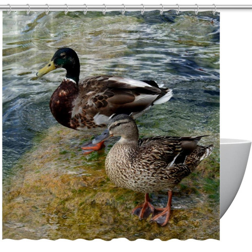 VAPOKF Shower Curtain for Bathroom Decor, Mallard Ducks Couple on Stream Waterproof Polyester Fabric Bath Curtain Set with 12 Hooks - 60x72 Inches