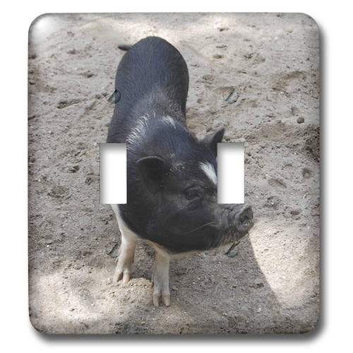 3dRose lsp_4327_2 Black and White Pig Double Toggle Switch