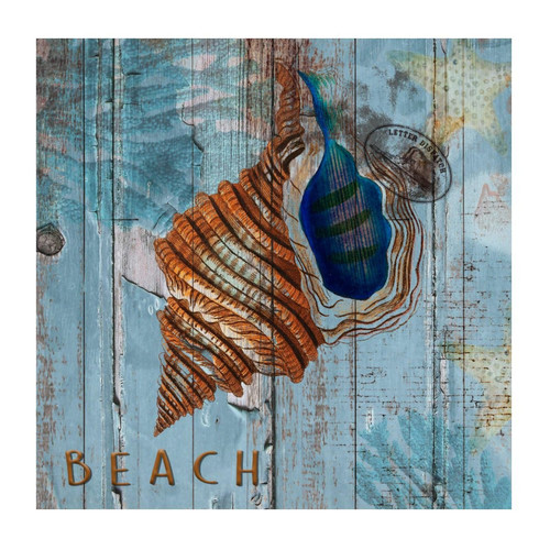 Vinyl Wall Quotes Stickers Nautical Beach Ocean Theme Underwater Sea Snail DIY Wall Art Decal Home Decor Shells Starfish Blue Coastal Wall Sticker for Kids Room Car Playroom Outdoors 22in