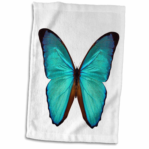 3dRose Shimmering Light Blue and Brown Butterfly Photograph - Towels (twl-210816-1) 3dRose Shimmering Light Blue and Brown Butterfly Photograph - Towels (twl-210816-1)