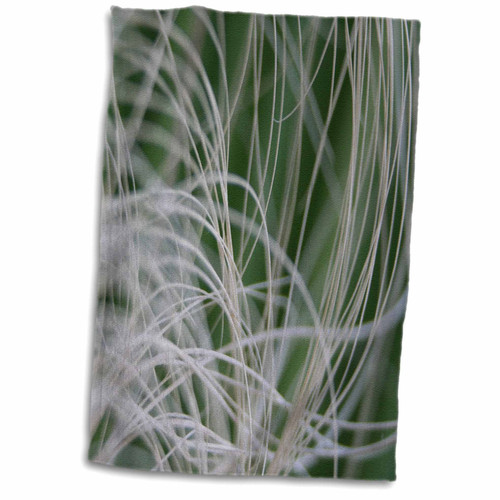 3dRose Abstract Image of Tropical Green Palm Leaves - Towels (twl-181583-1)