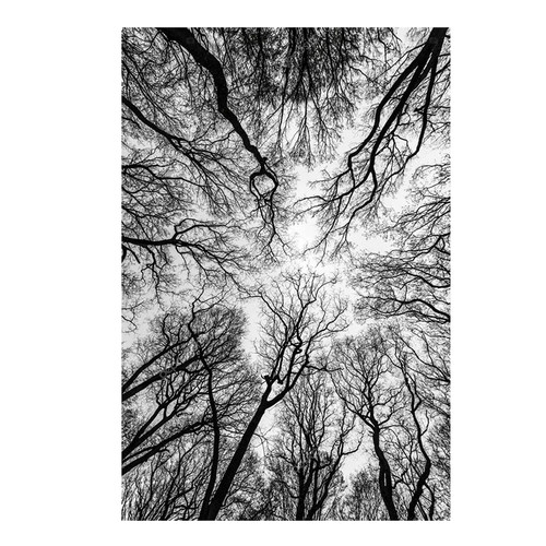 Modern Landscape Wall Art Black White Tree Painting Decoration Picture For Living Room Canvas Prints Posters Home Decoration-60x80cm No frame Modern Landscape Wall Art Black White Tree Painting Decoration Picture For Living Room Canvas Prints Posters Home Decoration-60x80cm No frame