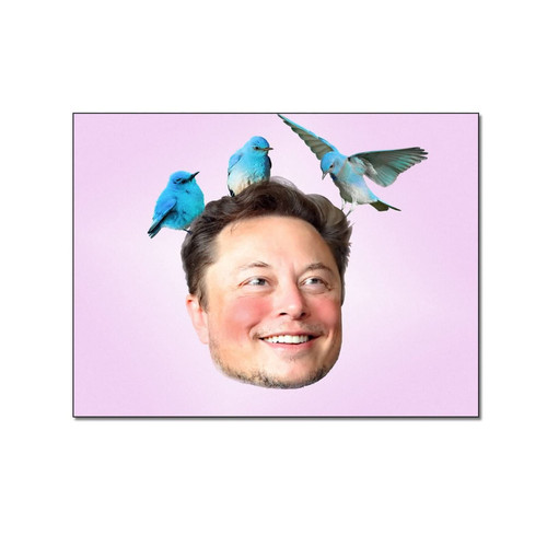 Funny Elon Musk Poster Twit_er% Gifts Wall Art Canvas Posters & Prints Picture for Living Room Bedroom Office Kitchen Decor 8x10inch(20x26cm)