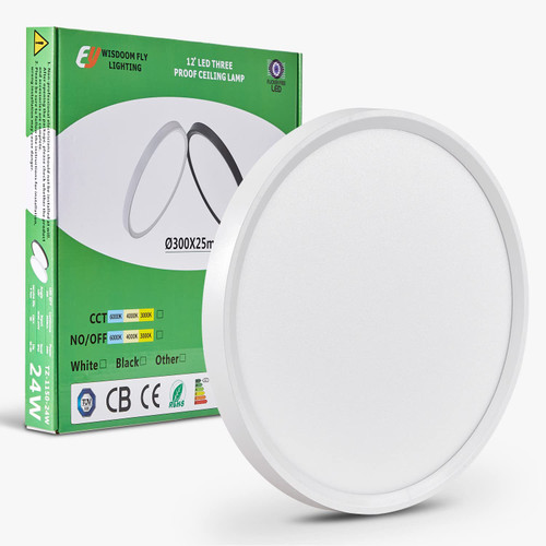 12 Inch LED Flush Mount Ceiling Light, 24W, 2520LM, 3000K/4000K/6000K CCT Selectable, Round Flat Panel Light Low Profile Ceiling Light Fitures for Hallway, Kitchen, Bedroom, Laundry Room