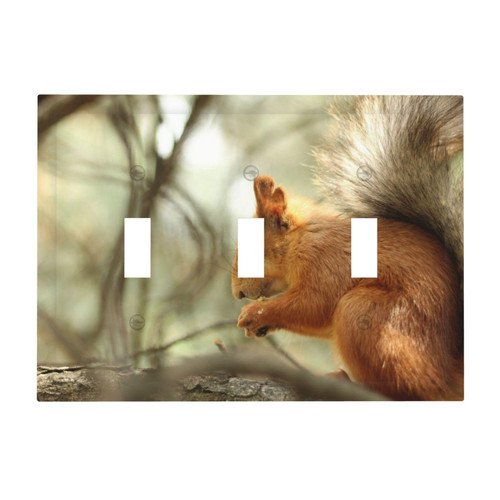 3 Gang Wall Plate Wildlife Forest Squirrel Triple Toggle Light Switch Cover Light Plug Outlet Covers For Bedroom Kitchen Home Decor