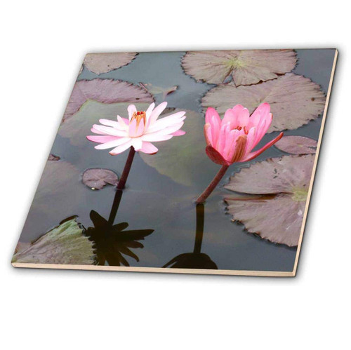 3dRose ct_192494_1 Twin Lotus Flower Ceramic Tile, 4"