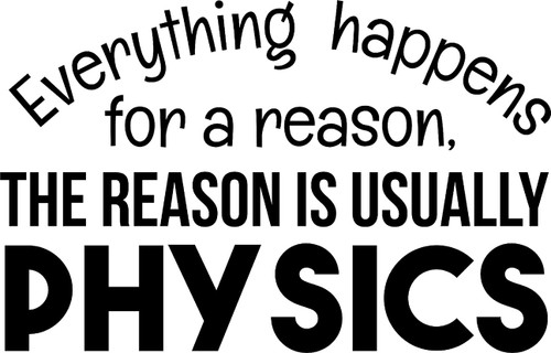 Everything Happens for A Reason Usually Physics Funny Wall Decals for Walls Peel and Stick Wall Art murals Black Medium 18 Inch