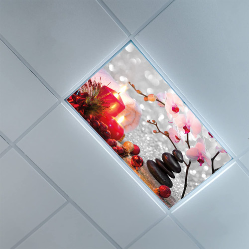 Lorougei Fluorescent Light Covers for Ceiling Light Diffuser Panels-Spa Pattern-Light Filters Ceiling LED Ceiling Light Covers-2ft x 4ft Drop Ceiling Fluorescent Decorative,White Black Pink Red