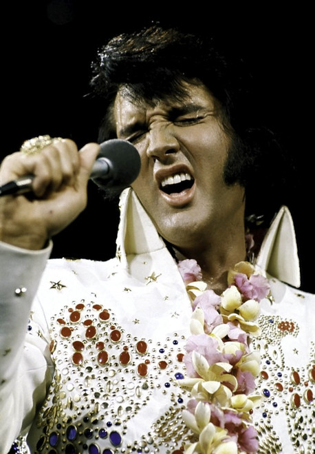 Elvis Presley performing Photo Print (8 x 10)