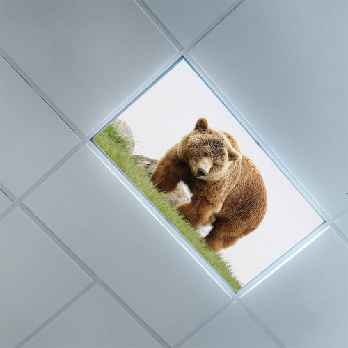 Fluorescent Light Covers for Ceiling Light Diffuser Panels-Bear Pattern-Fluorescent Light Covers for Classroom Office-2ft x 4ft Drop Ceiling Fluorescent Decorative,Multicolor