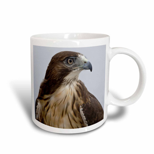 3dRose Usa, Alaska, Ketchikan Red-Tailed Hawk Bird-US02 BJA0235-Jaynes Gallery Magic Transforming Mug, 11 oz, Black/White