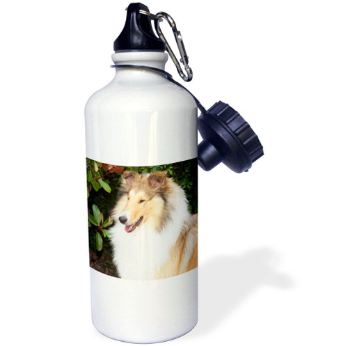 3dRose "Purebred Rough Collie dog NA02 PWO0090 PiperAnne Worcester" Sports Water Bottle, 21 oz, White 3dRose "Purebred Rough Collie dog NA02 PWO0090 PiperAnne Worcester" Sports Water Bottle, 21 oz, White