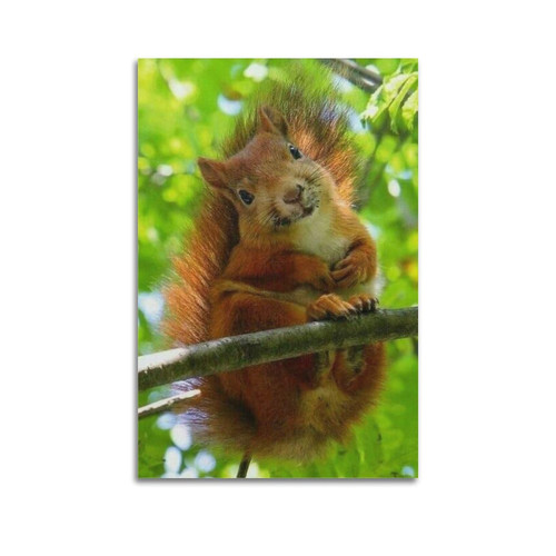DEVINK Animal Cute Squirrels Poster Decorative Painting Canvas Wall Posters And Art Picture Print Modern Family Bedroom Decor Posters 16x24inch(40x60cm) DEVINK Animal Cute Squirrels Poster Decorative Painting Canvas Wall Posters And Art Picture Print Modern Family Bedroom Decor Posters 16x24inch(40x60cm)