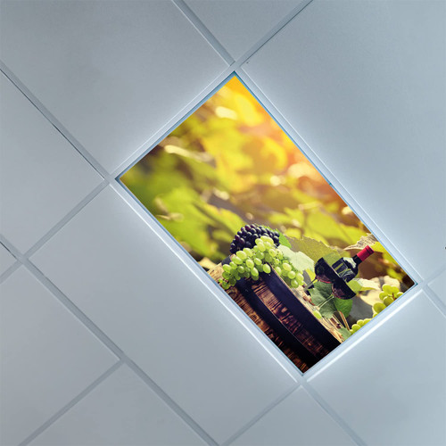 Fluorescent Light Covers for Classroom Office-Wine Pattern-Light Filters Ceiling LED Ceiling Light Covers-2ft x 4ft Drop Ceiling Fluorescent Decorative,Pale Green Black Brown