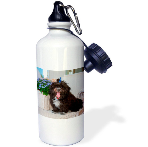 3dRose Shih Tzu Puppy Sitting by Flowers, MR and PR, Sports Water Bottle, 21oz , 21 oz, Multicolor 3dRose Shih Tzu Puppy Sitting by Flowers, MR and PR, Sports Water Bottle, 21oz , 21 oz, Multicolor
