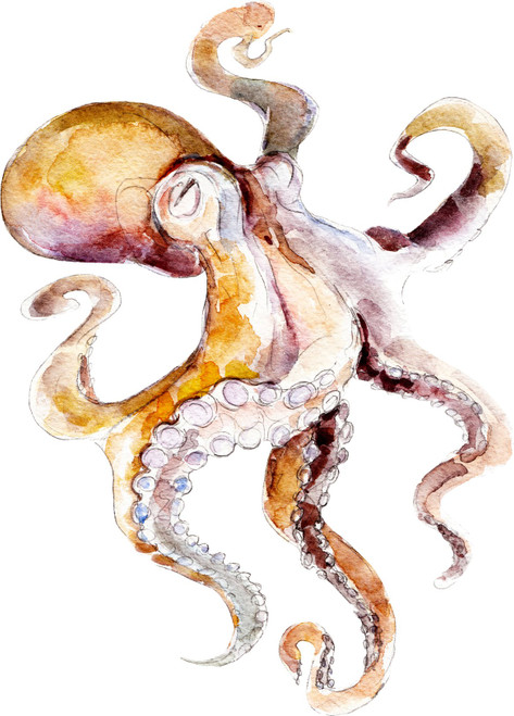 Pretty Watercolor Squid Octopus Art Vinyl Sticker (4" Tall)