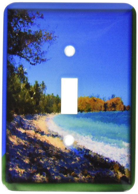 3dRose lsp_48108_1 Painted White Sand Beach Toggle Switch