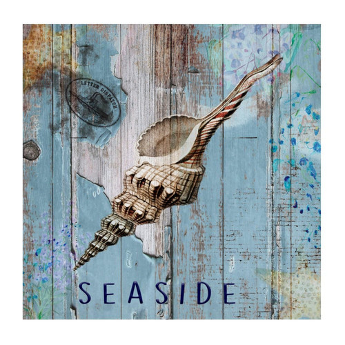 Nautical Beach Ocean Theme Underwater Sea Snail Wall Stickers Creative Coastal Tropical Theme Picture Mirrors Wall Sticker Vinyl Wall Stickers Quotes for Nursery Bottles Teen Room Wall Decoration 22in