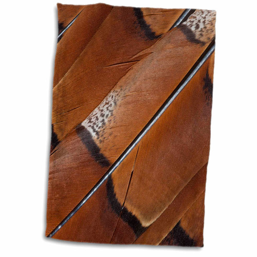 3dRose Danita Delimont - Feathers - Tail feathers of Copper pheasant - Towels (twl-250154-1) 3dRose Danita Delimont - Feathers - Tail feathers of Copper pheasant - Towels (twl-250154-1)
