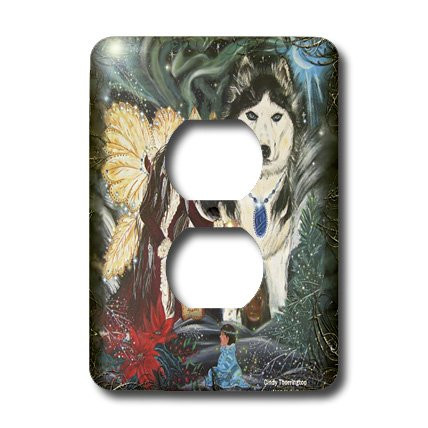 3dRose LSP_4071_6 Teacher of The Northern Lights 2 Plug Outlet Cover