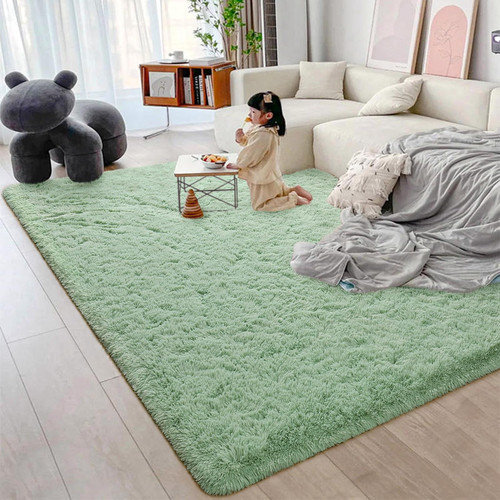 Jocovieh Soft SageGreen Rugs for Bedroom, 4x6 Feet Fluffy Carpets