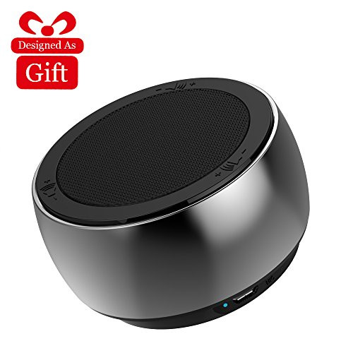 Bass Bluetooth Speakers, Portable Bluetooth Speakers 4.2+EDR, Wireless Speaker Waterproof with TWS Technology, Bass Sound for Home/Outdoor (Black)
