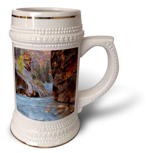 3dRose Zion National Park. The Narrows of the Virgin River. - Stein Mug, 18oz , 22oz, White