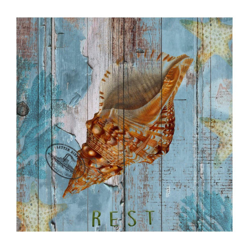 Nautical Beach Ocean Theme Underwater Sea Snail Wall Stickers Custom Coastal Seascape Painting Outdoors Wall Decals Vinyl Mural Decals Quotes for Garage Car Cafe Hotel Wall Art 22in