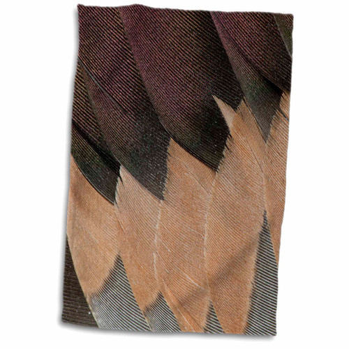 3dRose Danita Delimont - Feathers - Northern Pintail Drake Wings fanned out - Towels (twl-250311-1) 3dRose Danita Delimont - Feathers - Northern Pintail Drake Wings fanned out - Towels (twl-250311-1)