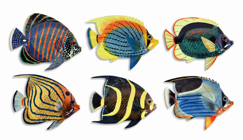Handpainted L-A Tropical Fish Replica Wall Mount Decor Plaque 6" (Set Of 6)