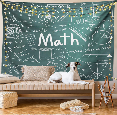 Lunarable Mathematics Room Tapestry King Size, Board Full of Drawings Formulas Shapes Theory Math Lesson Word, Wall Hanging Bedspread Bed Cover Wall Decor, Twin Size, White Teal