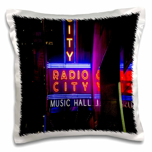 3dRose Image of Blue Pisces Sign for February and March Pillow Case, 16 x 16